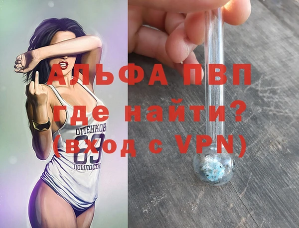 трава Магас
