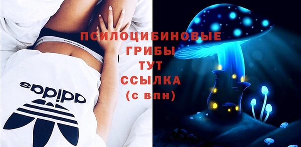 трава Магас