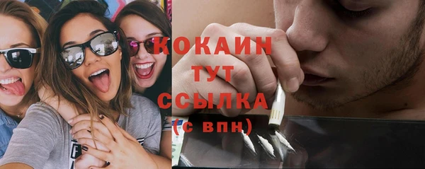 трава Магас