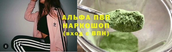 трава Магас