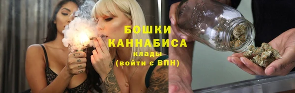 прущие грибы Майский