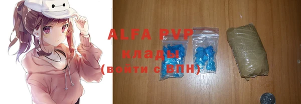 прущие грибы Майский