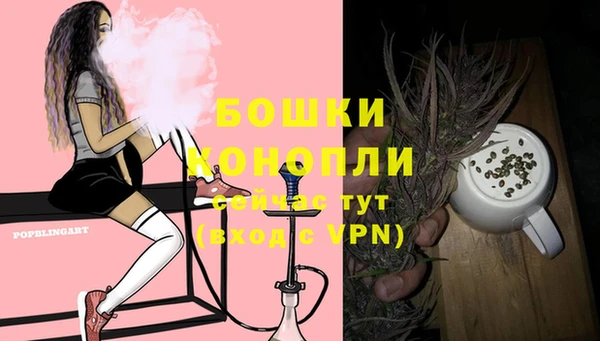прущие грибы Майский
