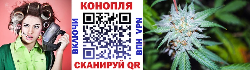 Канабис OG Kush  Купить где  Пестово 